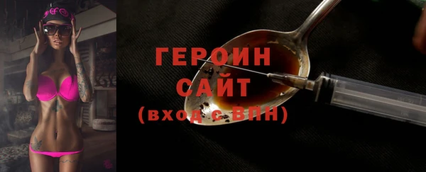 мдпв Рославль
