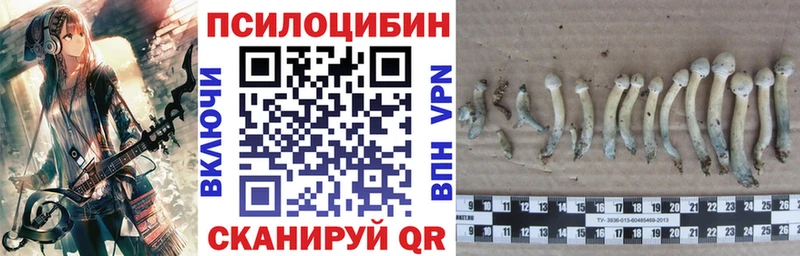 Псилоцибиновые грибы мицелий  гидра ссылки  Красноармейск 